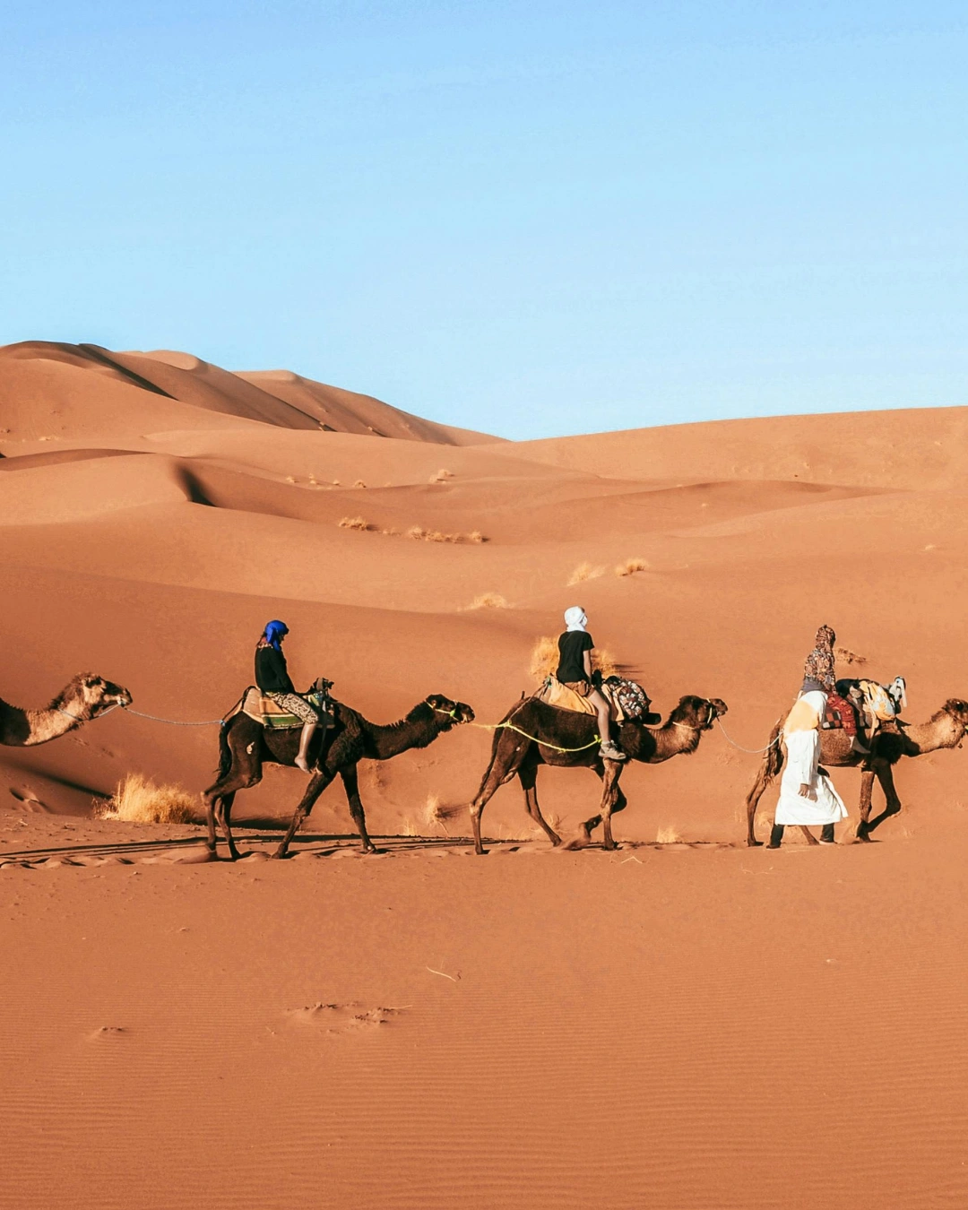 Naik unta di Gurun Sahara