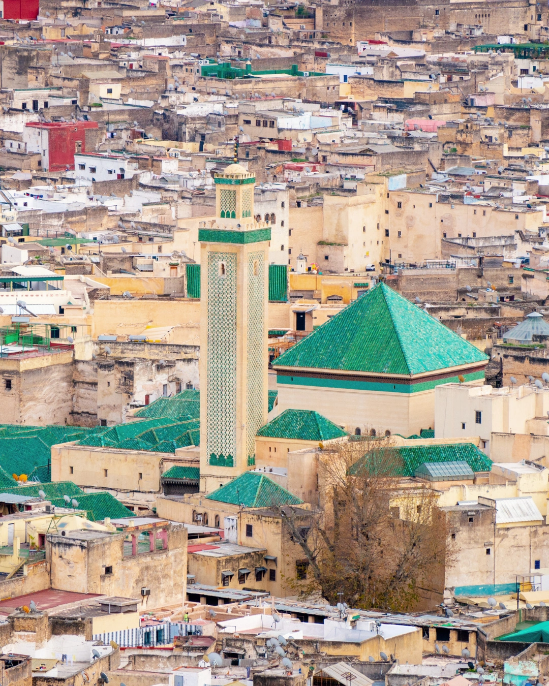 Universitas Al Qarawiyyin